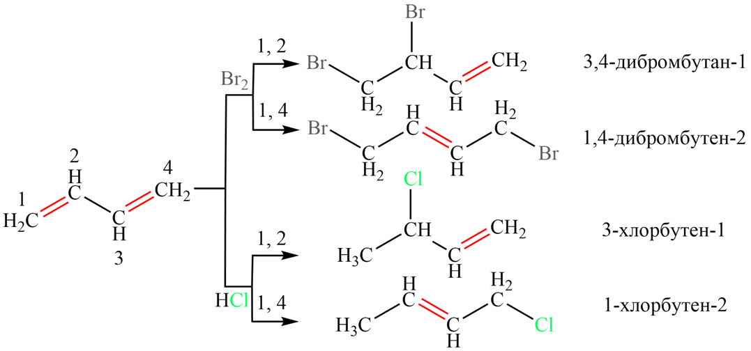 галогенирование алкадиенов