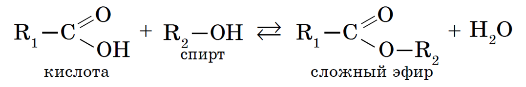 Уравнение реакции получения сложных эфиров реакцией этерификации. Уравнение получения сложных эфиров. Получение сложных эфиров карбоновых кислот. Формула получения сложного эфира.