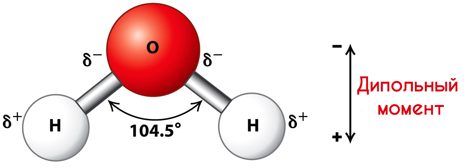 Дипольный момент молекулы воды