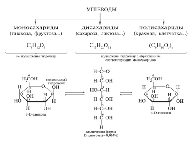 Классификация углеводов
